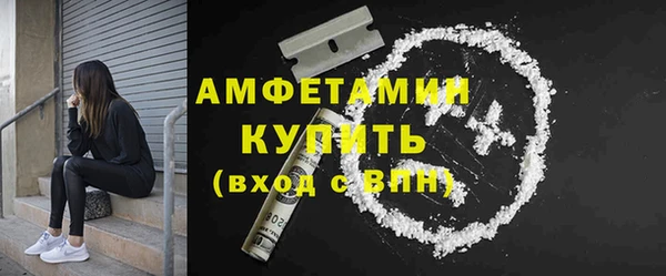 индика Бронницы