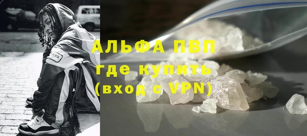 индика Бронницы