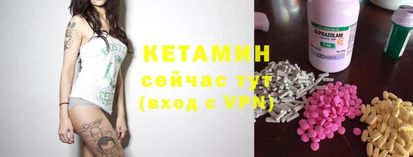 индика Бронницы