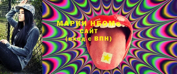 индика Бронницы