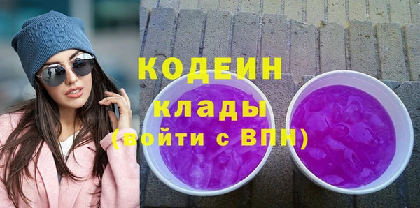 индика Бронницы