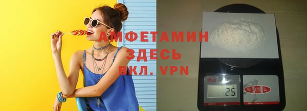 индика Бронницы