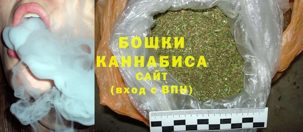 индика Бронницы