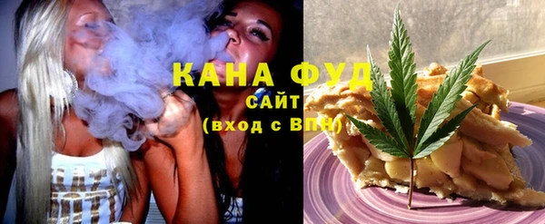 индика Бронницы