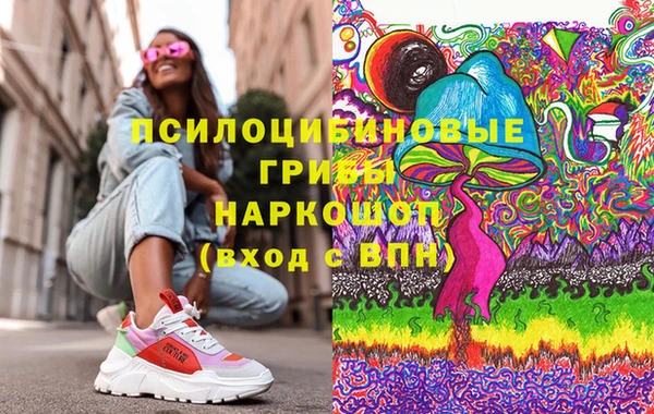 индика Бронницы