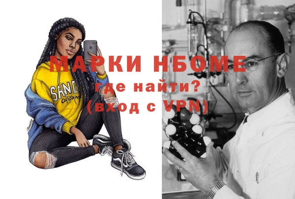 индика Бронницы