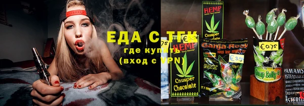 индика Бронницы