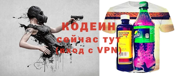 индика Бронницы