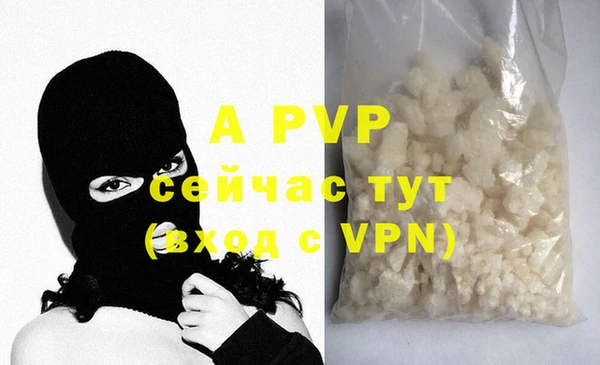 индика Бронницы