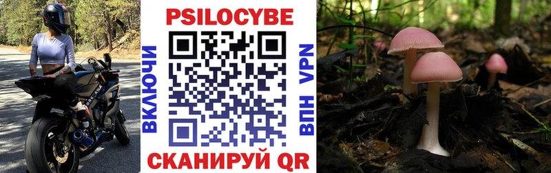 MEGA ТОР  Октябрьский  Галлюциногенные грибы ЛСД 